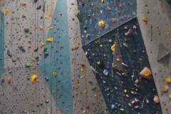 Indoor Rock Climbing Wall - Commercial Construction Project