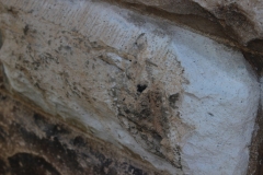 Holes in Traditional Stone - Colorado Springs Church - Commercial Remodel